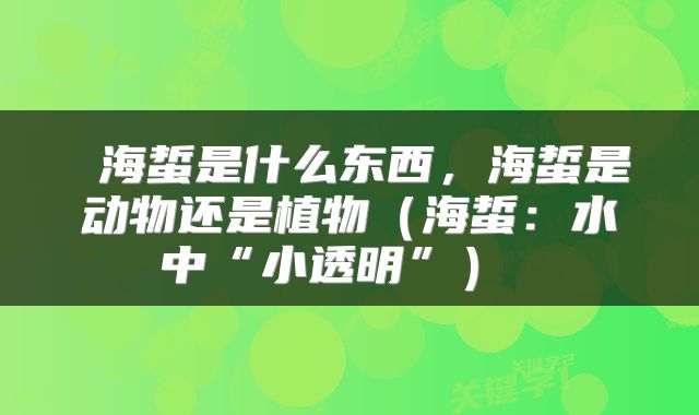  海蜇是什么东西，海蜇是动物还是植物（海蜇：水中“小透明”） 