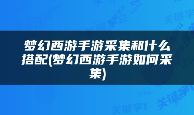 梦幻西游手游采集和什么搭配(梦幻西游手游如何采集)