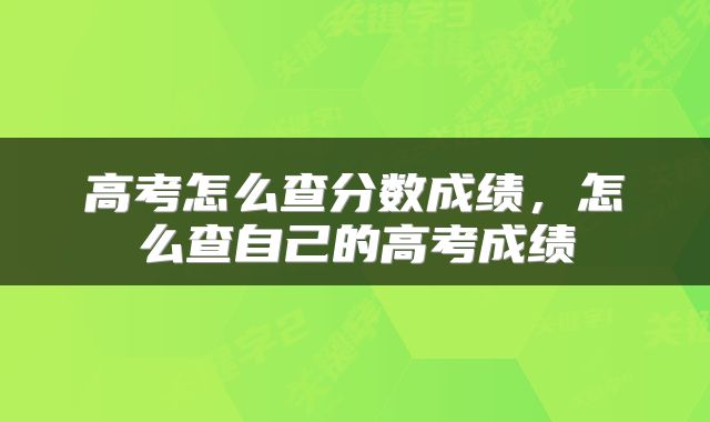 高考怎么查分数成绩，怎么查自己的高考成绩