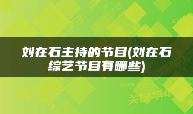 刘在石主持的节目(刘在石综艺节目有哪些)