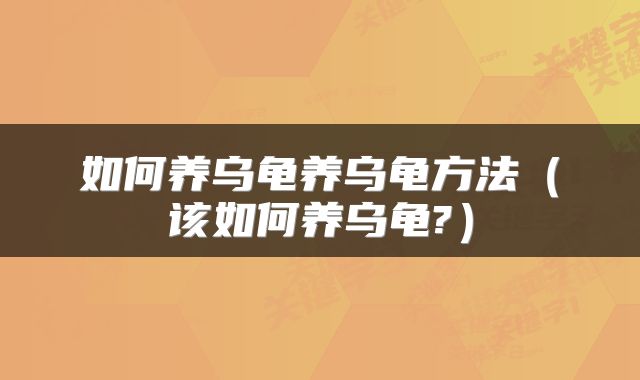 如何养乌龟养乌龟方法（该如何养乌龟?）