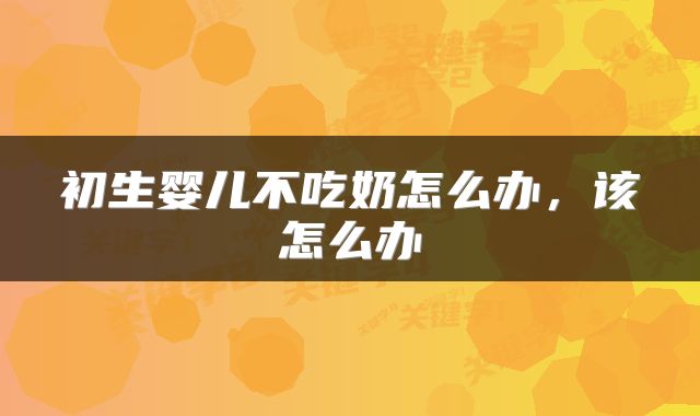 初生婴儿不吃奶怎么办，该怎么办