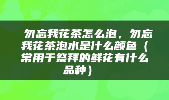  勿忘我花茶怎么泡，勿忘我花茶泡水是什么颜色（常用于祭拜的鲜花有什么品种） 
