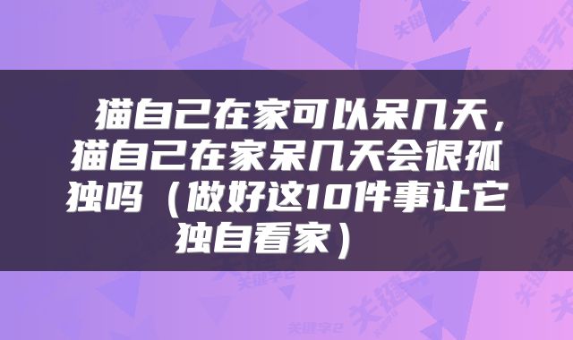  猫自己在家可以呆几天，猫自己在家呆几天会很孤独吗（做好这10件事让它独自看家） 