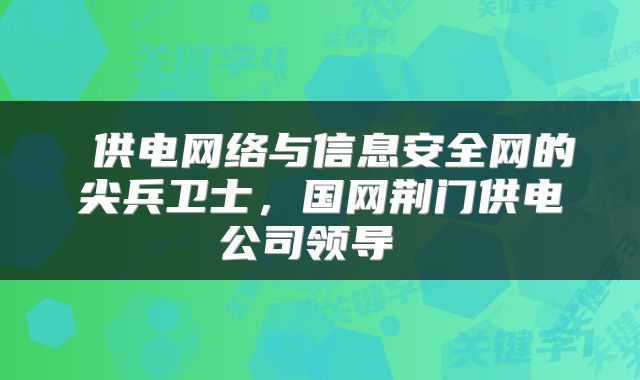  供电网络与信息安全网的尖兵卫士，国网荆门供电公司领导 