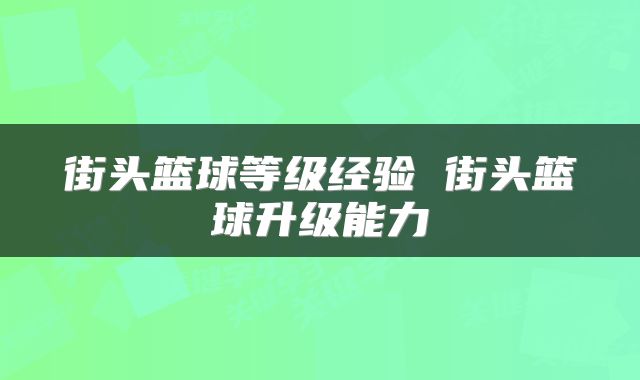 街头篮球等级经验 街头篮球升级能力