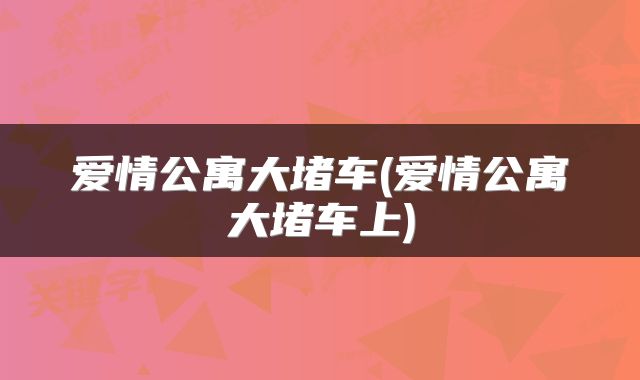 爱情公寓大堵车(爱情公寓大堵车上)