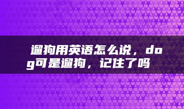  遛狗用英语怎么说，dog可是遛狗，记住了吗 