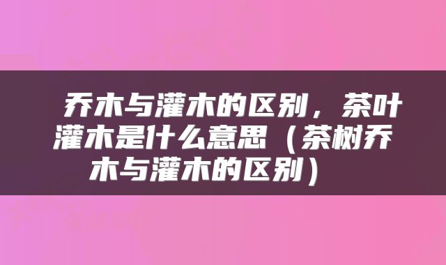 乔木与灌木的区别,茶叶灌木是什么意思(茶树乔木与灌木的区别)