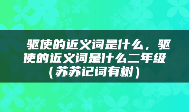 驱使的近义词是什么,驱使的近义词是什么二年级(苏苏记词有树)