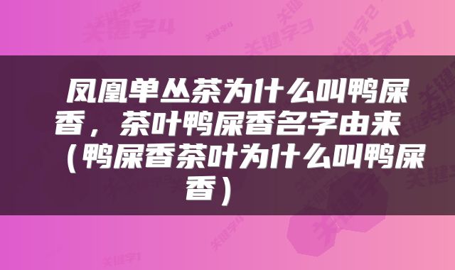  凤凰单丛茶为什么叫鸭屎香，茶叶鸭屎香名字由来（鸭屎香茶叶为什么叫鸭屎香） 