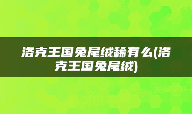 洛克王国兔尾绒稀有么(洛克王国兔尾绒)