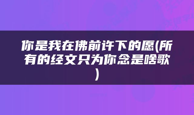 你是我在佛前许下的愿(所有的经文只为你念是啥歌)