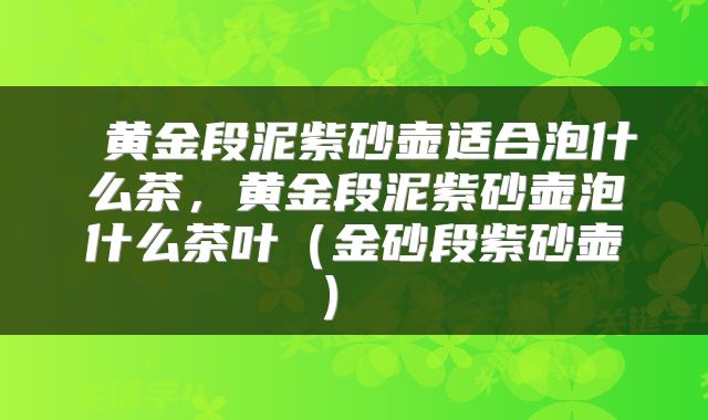  黄金段泥紫砂壶适合泡什么茶，黄金段泥紫砂壶泡什么茶叶（金砂段紫砂壶） 