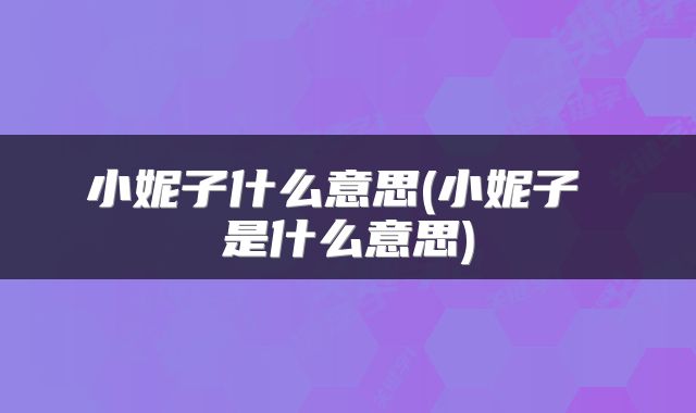 小妮子什么意思(小妮子 是什么意思)