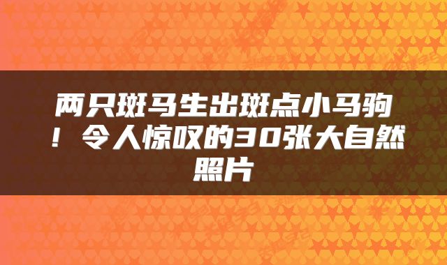 两只斑马生出斑点小马驹！令人惊叹的30张大自然照片