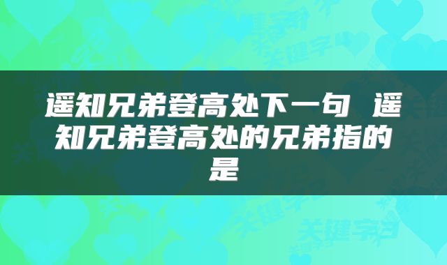 遥知兄弟登高处下一句 遥知兄弟登高处的兄弟指的是