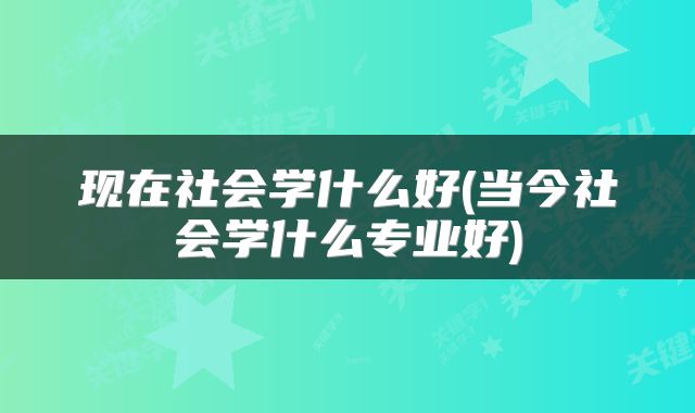 现在社会学什么好(当今社会学什么专业好)