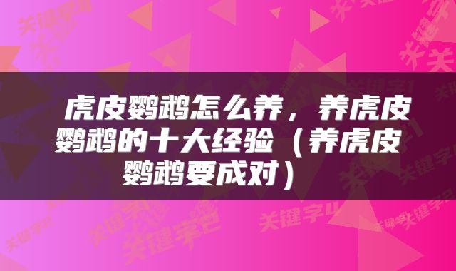  虎皮鹦鹉怎么养，养虎皮鹦鹉的十大经验（养虎皮鹦鹉要成对） 