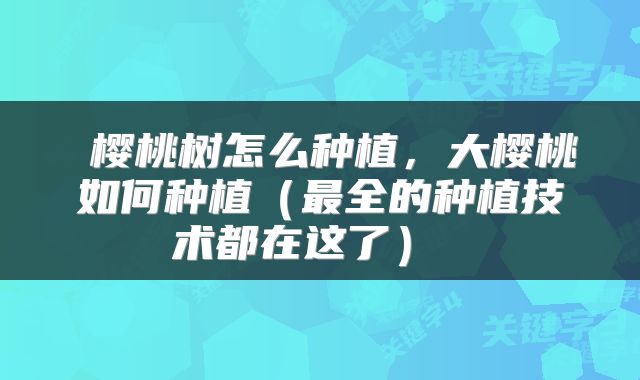  樱桃树怎么种植，大樱桃如何种植（最全的种植技术都在这了） 