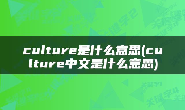 culture是什么意思(culture中文是什么意思)