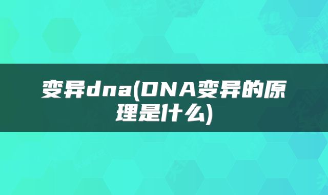 变异dna(DNA变异的原理是什么)