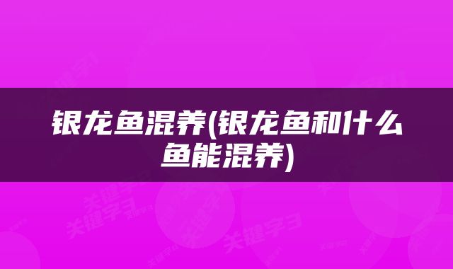 银龙鱼混养(银龙鱼和什么鱼能混养)