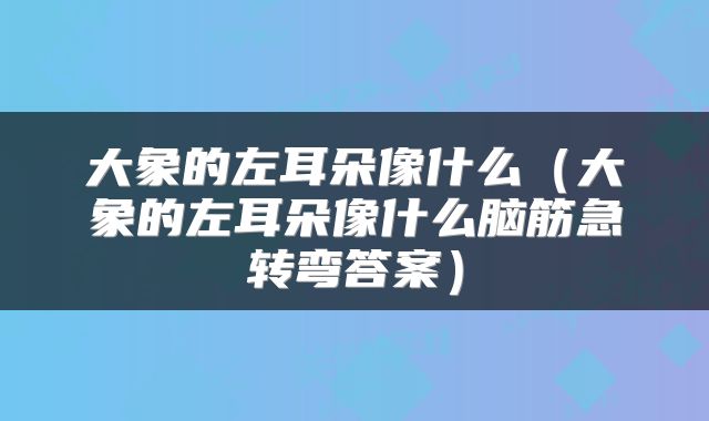 大象的左耳朵像什么（大象的左耳朵像什么脑筋急转弯答案）