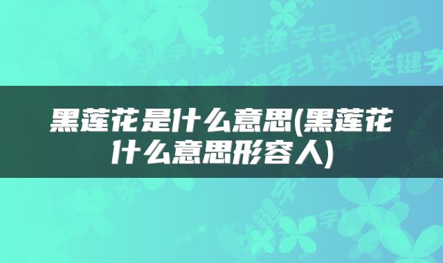 黑莲花是什么意思(黑莲花什么意思形容人)