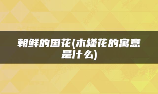 朝鲜的国花(木槿花的寓意是什么)