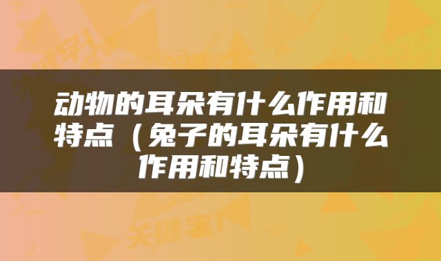 动物的耳朵有什么作用和特点（兔子的耳朵有什么作用和特点）