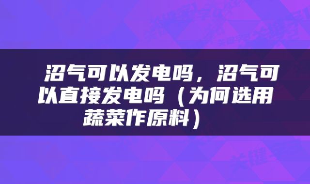  沼气可以发电吗，沼气可以直接发电吗（为何选用蔬菜作原料） 