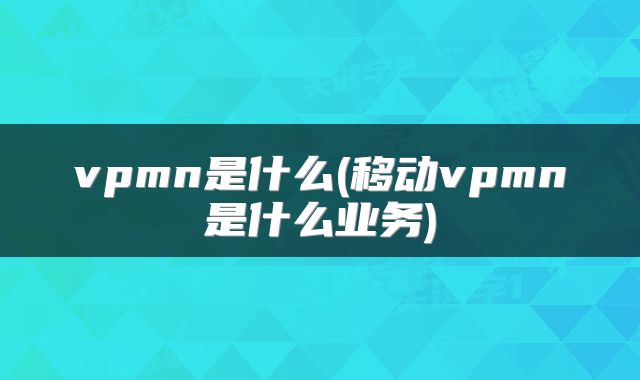 vpmn是什么(移动vpmn是什么业务)