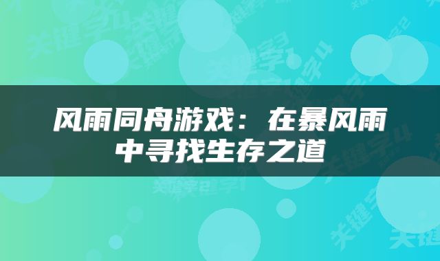 风雨同舟游戏：在暴风雨中寻找生存之道