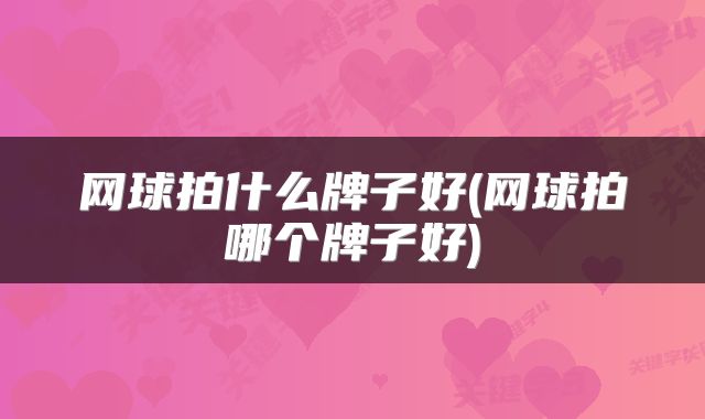 网球拍什么牌子好(网球拍哪个牌子好)