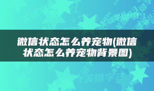 微信状态怎么养宠物(微信状态怎么养宠物背景图)