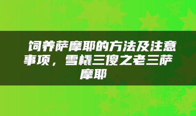  饲养萨摩耶的方法及注意事项，雪橇三傻之老三萨摩耶 