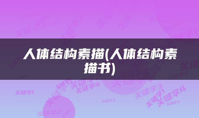 人体结构素描(人体结构素描书)