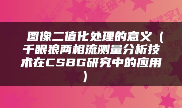  图像二值化处理的意义（千眼狼两相流测量分析技术在CSBG研究中的应用） 