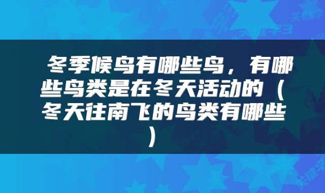  冬季候鸟有哪些鸟，有哪些鸟类是在冬天活动的（冬天往南飞的鸟类有哪些） 