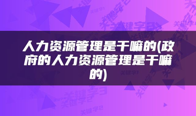人力资源管理是干嘛的(政府的人力资源管理是干嘛的)
