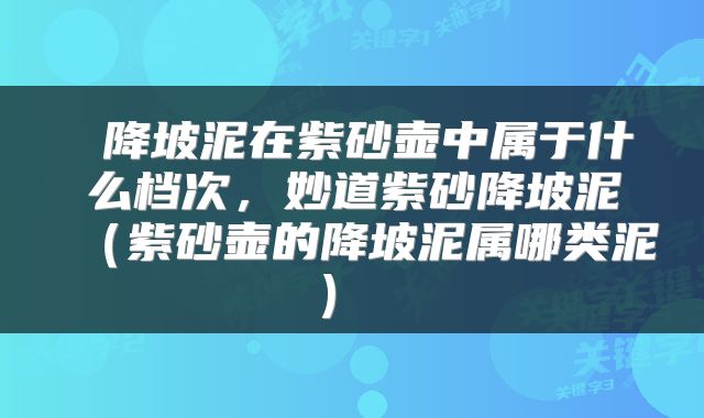  降坡泥在紫砂壶中属于什么档次，妙道紫砂降坡泥（紫砂壶的降坡泥属哪类泥） 