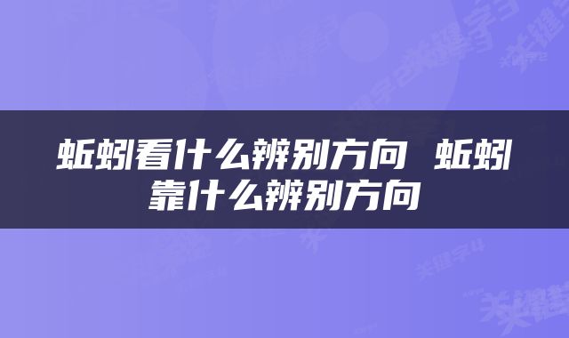 蚯蚓看什么辨别方向 蚯蚓靠什么辨别方向