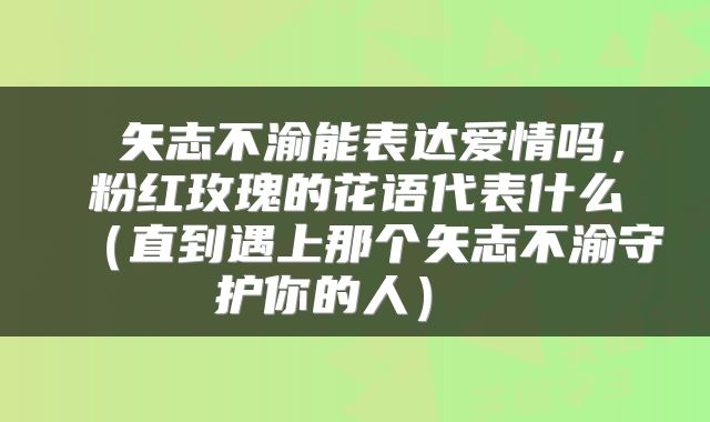  矢志不渝能表达爱情吗，粉红玫瑰的花语代表什么（直到遇上那个矢志不渝守护你的人） 