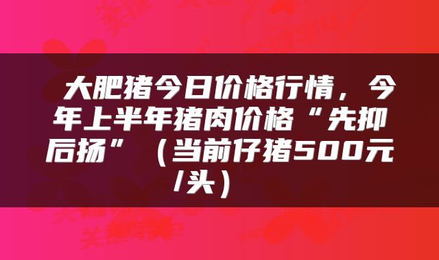 大肥猪今日价格行情，今年上半年猪肉价格“先抑后扬”（当前仔猪500元/头） 