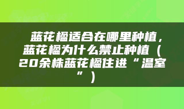 蓝花楹适合在哪里种植,蓝花楹为什么禁止种植(20余株蓝花楹住进“温室”)