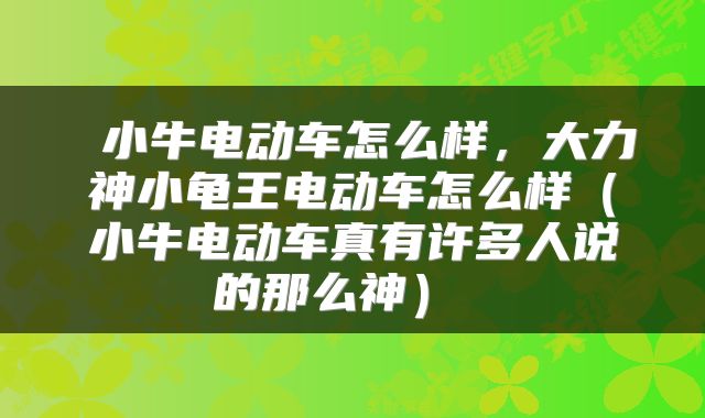  小牛电动车怎么样，大力神小龟王电动车怎么样（小牛电动车真有许多人说的那么神） 