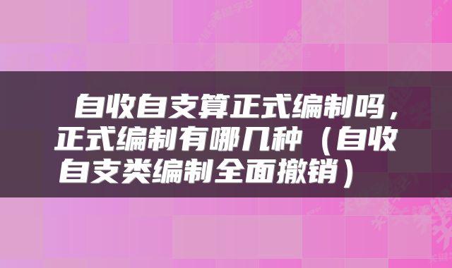  自收自支算正式编制吗，正式编制有哪几种（自收自支类编制全面撤销） 