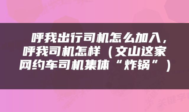  呼我出行司机怎么加入，呼我司机怎样（文山这家网约车司机集体“炸锅”） 