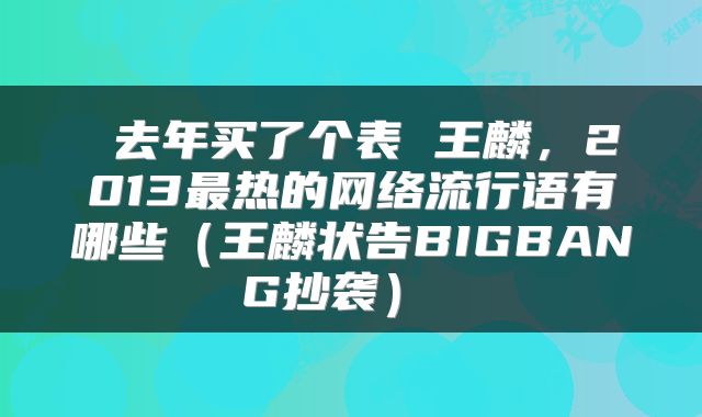  去年买了个表 王麟，2013最热的网络流行语有哪些（王麟状告BIGBANG抄袭） 